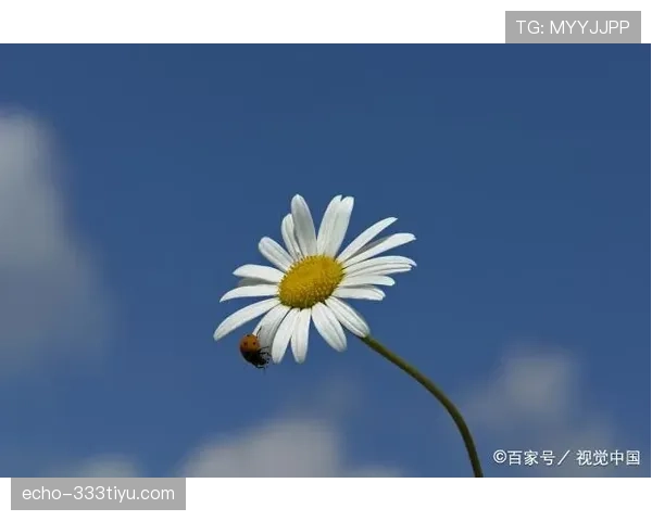 陆光祖又开始喝起小众贵价茶了，这日子活成谁都羡慕不来